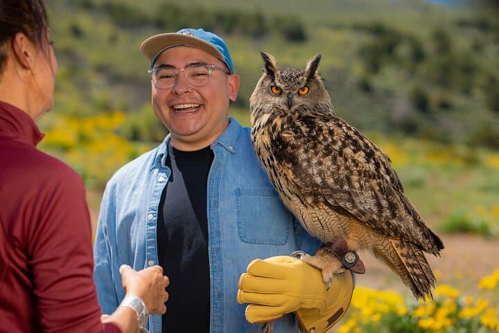 Louise, Eurasian Eagle Owl with guest